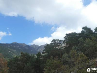 Pino de la Cadena (Valle de Siete Picos, Sierra de Guadarrama); visitas en madrid visitas madrid exc